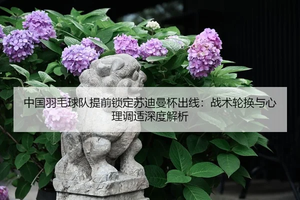 zhong-guo-yu-mao-qiu-dui-ti-qian-suo-ding-su-di-man-bei-chu-xian-zhan-shu-lun-huan-yu-xin-li-tiao-shi-shen-du-jie-xi-2-746.jpg